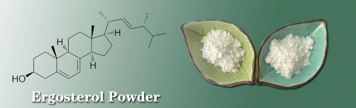 Ergosterol Powder Supplier.jpg